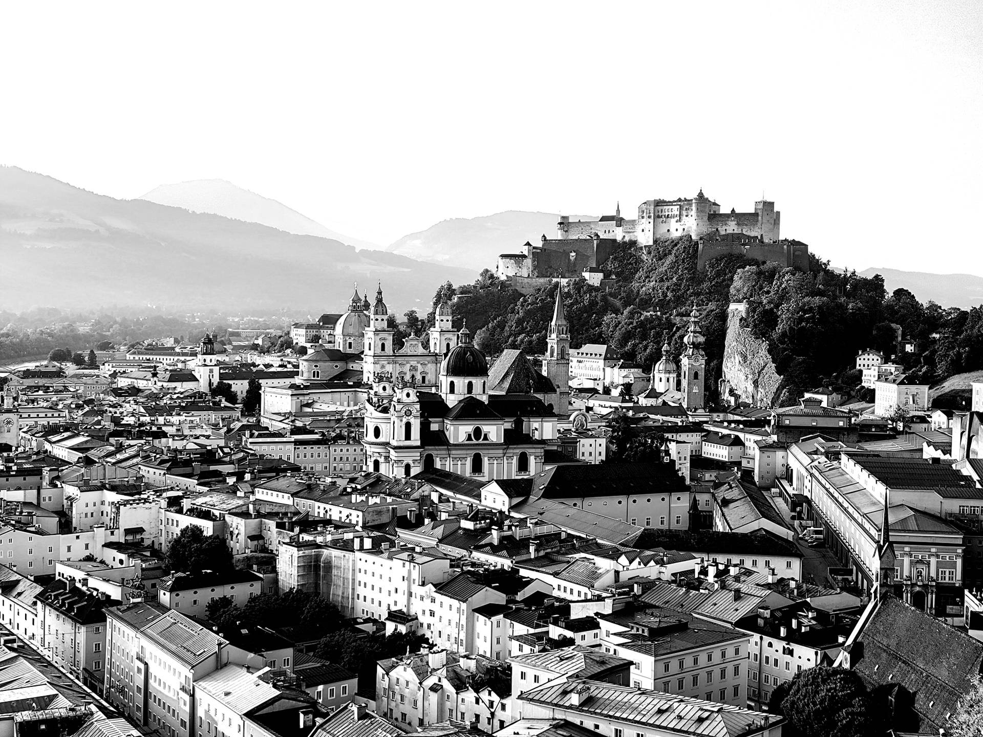  Salzburg Limousine aus Salzburg